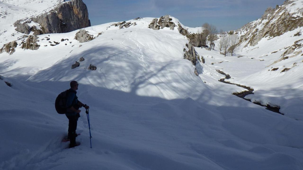 Casa De La Montana Albergue Turistico Avín Kültér fotó